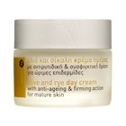 Korres Olive And Rye Day Cream