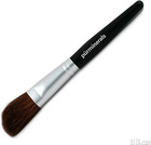 Pur Minerals Blush Brush