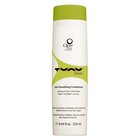 Ojon Tunu Elastik Smoothing Conditioner