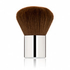 Colorescience Kabuki Brush