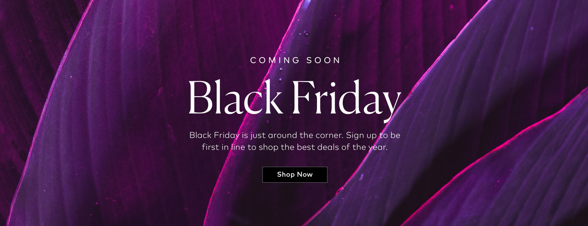 Sign up to receive notifications about our upcoming Black Friday Event!