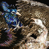 image and art courtesy of the artist, Laurel Roth {loloro.com}
