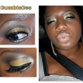 Bumblebee
2011-05-22