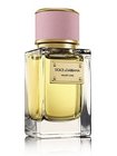 Dolce & Gabbana Velvet Love