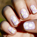 Darling Daisies!