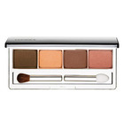 Clinique Colour Surge Eye Shadow Quad