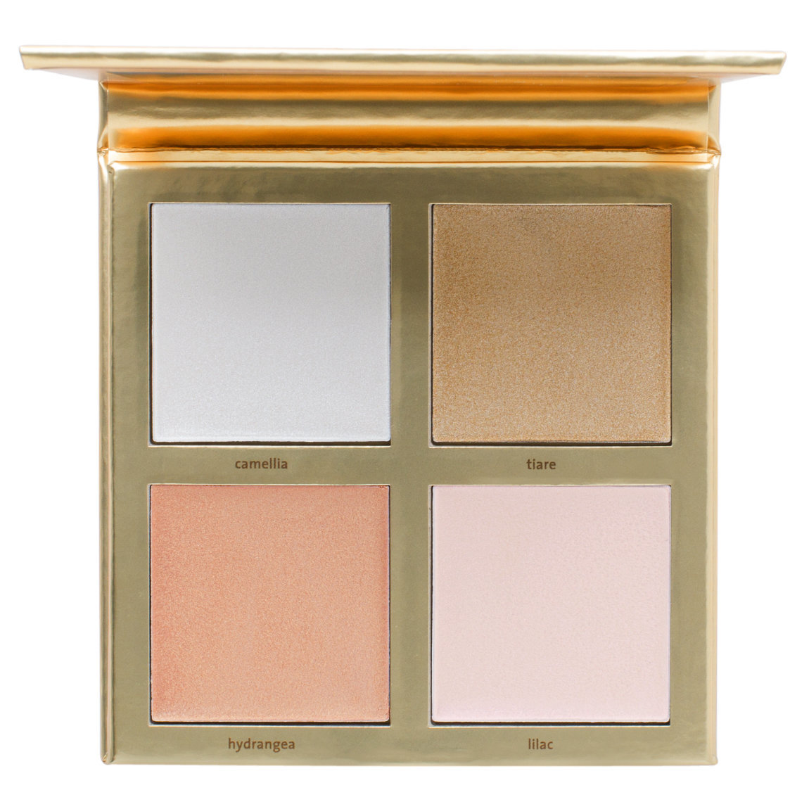 Jouer Cosmetics Lucky & Luminous Creme Highlighter Palette product smear.