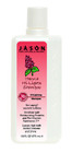 Jason Natural Cosmetics Henna Hi-Lights Shampoo