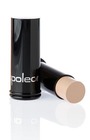 Napoleon Perdis Foundation Stick