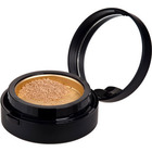 Elizabeth Arden Pure Finish Mineral Makeup