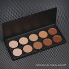 Coastal Scents Professional Camouflage Concealer Palette  