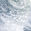 Loathe or Love: Snow-Tipped Lashes