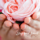 Stop and Smell the Roses