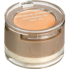 Neutrogena Mineral Sheers Concealer Kit SPF 20