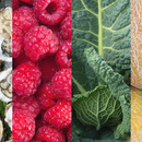 Eat Your Way to a Better Complexion
