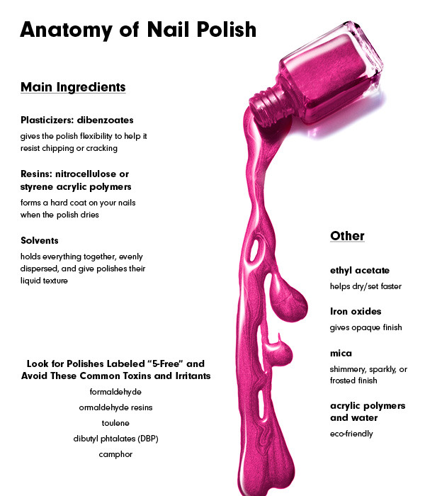 Anatomy of a Beauty Product Nail Polish Beautylish