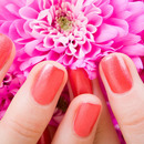 Zoya Summer 2011 Nail Shades