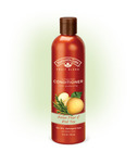 Nature's Gate Asian Pear and Red Tea Color Protecting Conditioner 