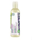 The Body Shop Rainforest Radiance Conditioner