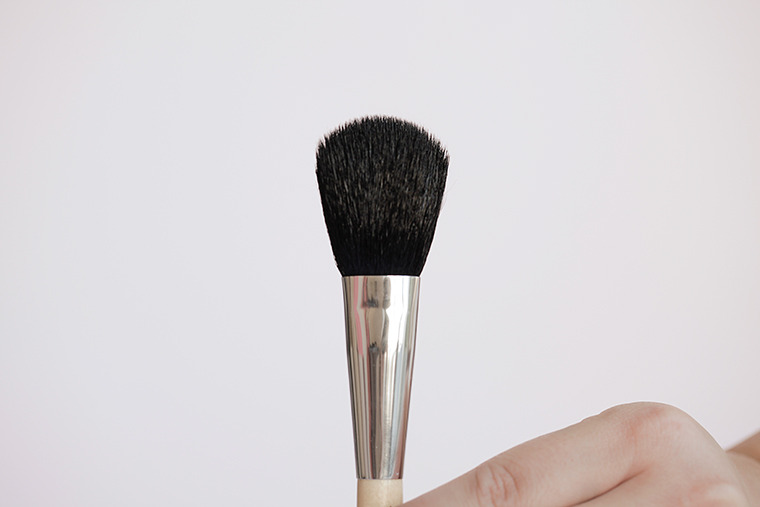 Your brush head should look clean