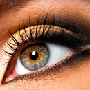 Double-Winged Eye Liner