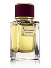 Dolce & Gabbana Velvet Sublime