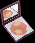 Michael Todd Cosmetics Multiple Powder