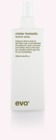 evo Mister Fantastic Texture Spray