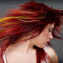 How To Beauty: Feather Extensions