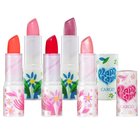 Cargo Botanical Lipstick