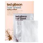 Ted Gibson Hair Sheet - Hair Styling Sheets