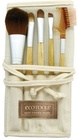EcoTools 6 Piece Brush Set