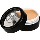 Studio Gear Hidden Agenda Concealer
