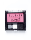 Barry M Blusher