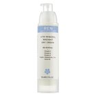 REN Vita-Mineral Radiant Day Cream