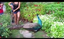 VLOG: Adventures in Singapore!