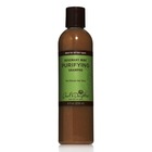 Carol's Daughter Rosemary Mint Purifying Shampoo