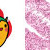Tokidoki Brillante Glitter Eyeliner  - Peperoncino 