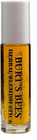Burt's Bees Herbal Blemish Stick