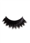 Sleek Makeup Honolulu Eyelashes