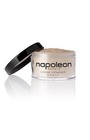 Napoleon Perdis Translucent Loose Powder
