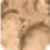 MAC Studio Fix Powder Plus Foundation - C6