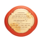 Skinfood Red Orange Sun Pact (SPF50 PA+++)