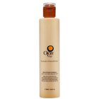 Ojon Shine & Protect Conditioner