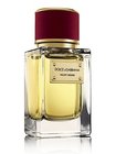 Dolce & Gabbana Velvet Desire