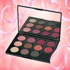 Coastal Scents Think Pink Palette