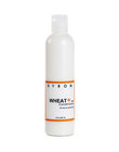 Byron Wheat and Soy Conditioner