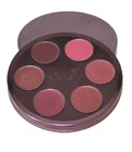 100% Pure Cocoa Pigmented Chocolate Lip Palette