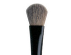 Prestige Cosmetics Shadow Sweep Brush