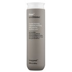 Living Proof No Frizz Conditioner
